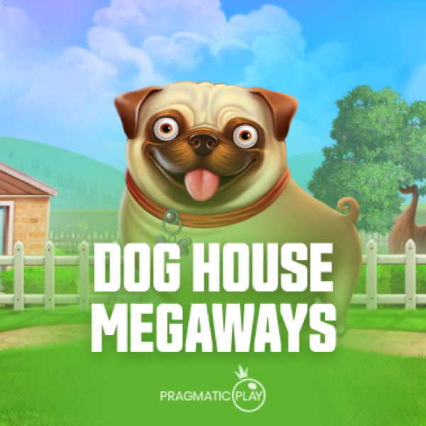 the dog house megaways
